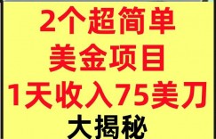 2个超简单美金项目，1天收入75美刀，3分钟学会，内部教程（大揭秘）