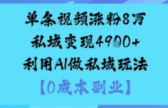 单条视频涨粉8W私域变现1k+利用AI做私域玩法