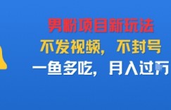 男粉项目新玩法，不发视频，不封号，一鱼多吃，月入过W