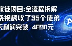 AI收徒项目全流程拆解一条视频收了三十几个徒弟，当天利润突破1k