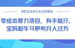 零成本暴力项目，有手就行，宝妈和牛马都能月入过W
