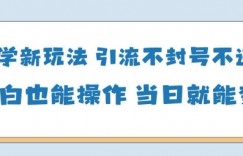 AI国学项目-零基础小白都能轻松上手-当天见收益
