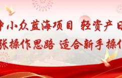 低竞争小众蓝海项目，轻资产日变现4张的操作思路适合新手操作