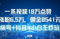 一条视频18W点赞涨粉6.5W，佣金8541视频号+抖音=小白王炸玩法