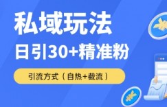 私域金融课变现玩法，日引30+精准流量，转化率50%日销5-10单，一单188
