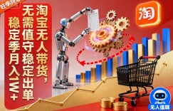 淘宝无人带货，无需值守稳定出单，电商旺季，稳定月入1W+