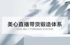 直播带货锻造体系课，5G时代美心一站式帮你开启直播带货之路【音频】