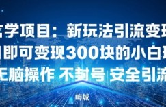 玄学项目：新玩法引流变现单日即可变现3张的小白玩法无脑操作不封号安全引流