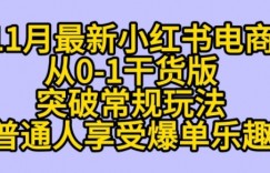 K总部落《11月小红书电商最新玩法从0-1突破平台流量》