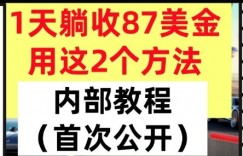 1天躺收87美刀，用这2个方法，长期稳定，超简单，内部教程