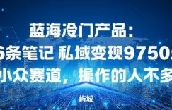 蓝海冷门产品：16条笔记私域变现9750米，小众赛道，操作的人不多