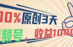 100%原创，3天起视频号，视频号当下最稳最容易出效果赛道，收益1k+