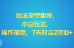 玩法简单粗暴，小白玩法，操作简单，7天收益2k+