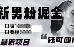 全新男粉掘金思路日吸粉100+日变现1k+