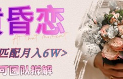 副业拆解：黄昏恋1对1匹配月入6个，潜力巨大