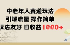 中老年人赛道玩法引爆流量操作简单玩法友好日收益多张
