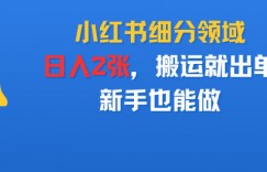 小红书细分领域，日入2张，搬运就出单，新手也能做