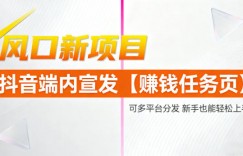 风口新项目，抖音端内宣发【賺米任务页】，可多平台分发，新手也能轻松上手