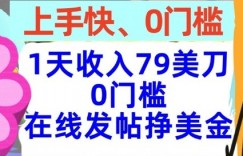 在线发帖挣美金，1天收入79美刀，上手快，0门槛，长久的被动收入
