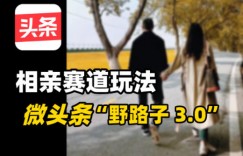 微头条“野路子3.0”相亲赛道玩法，搬砖式操作单号稳定3张