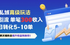 私域高级玩法，精准引流，单笔3张收益，日转化5-10单