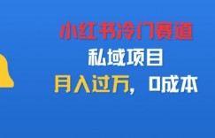 小红书冷门赛道，私域项目，月入过1W，0成本