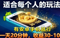 适合每个人的玩法，有安卓手机就行，一天20分钟，收益30-100