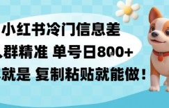 小红书冷门信息差项目，人群精准，单号日入多张，基本就是复制粘贴就能做