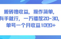 搬砖撸收益，操作简单，有手就行，一万播放20-30，单号一个月收益1k+