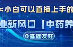 创业新风口【中药养生】赛道，单号月入1W+，小白可做，轻松复制