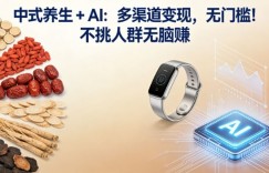 中式养生+AI：多渠道变现，无门槛，不挑人群无脑賺