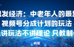 银发经济：中老年人的最爱视频号分成计划的玩法只讲玩法不讲理论，只教制作
