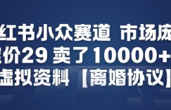小红书小众赛道，市场庞大，定价29，卖了1w+单，虚拟资料【离婚协议】
