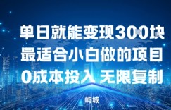 单日就能变现3张，最适合小白做的项目0成本投入，无限复制
