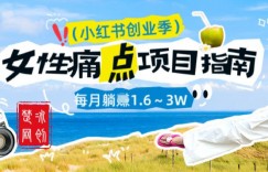 副业项目拆解：单人AI小红书女性痛点项目每月躺入1W