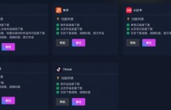 DYD多平台电脑去水印批量下载助手：抖音、快手、tiktok、小红书去水印下载