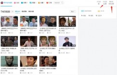 零本月入过万网赚项目，AI换脸软件项目了解下