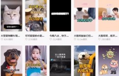 冷门蓝海赚钱项目，新手零基础创业术