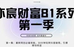 亦宸财富81系列第1季第1集：最新网创必备技能，30分钟玩转抖音破局，引爆被动收益