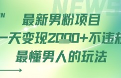 最新男粉项目一天变现多张不违规最懂男人的玩法