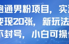 新跑通男粉项目,实测每天变现多张,新玩法不违规不封号,小白可操作