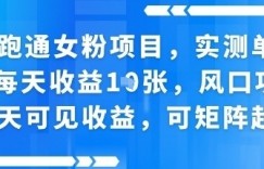 新跑通女粉项目,实测单账号每天收益多张,风口项目当天可见收益,可矩阵起号