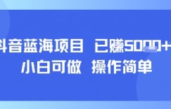 抖音蓝海项目,小白可做,操作简单,可批量制作,已挣5k+