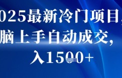2025最新冷门项目,无脑上手自动成交,日入多张
