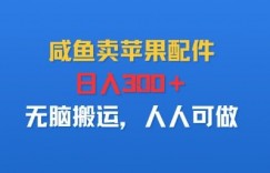 咸鱼卖苹果配件,日入3张+,无脑搬运,人人可做