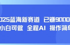2025蓝海新赛道 已挣9k+ 小白可做 全程AI 操作简单