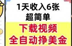 新项目,下载视频,日入6张,超简单,全自动挣美金