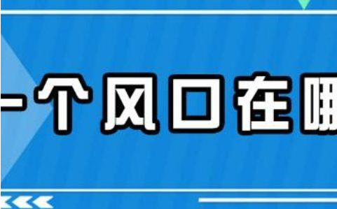 2021年最新网赚风口，月赚万元不只是梦想！