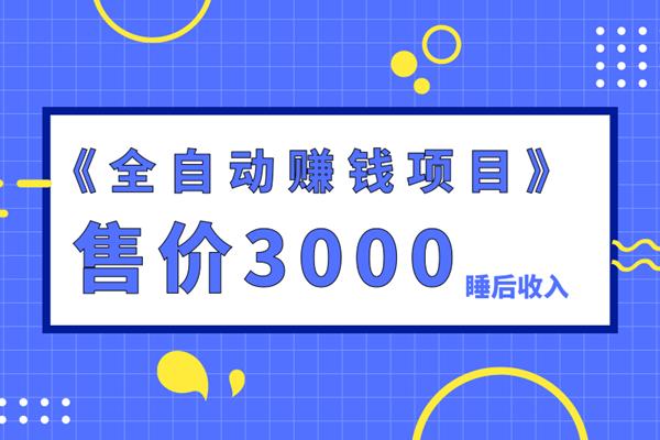 佐道副业特训营4：售价3000的全自动赚钱项目，打造睡后收入