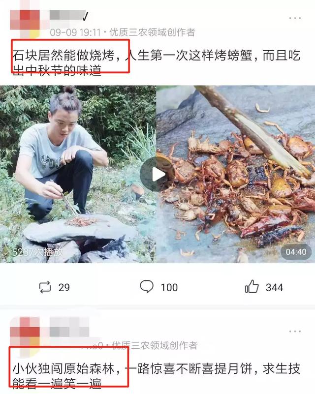 教你做三农领域的自媒体运营，小白也能入过万